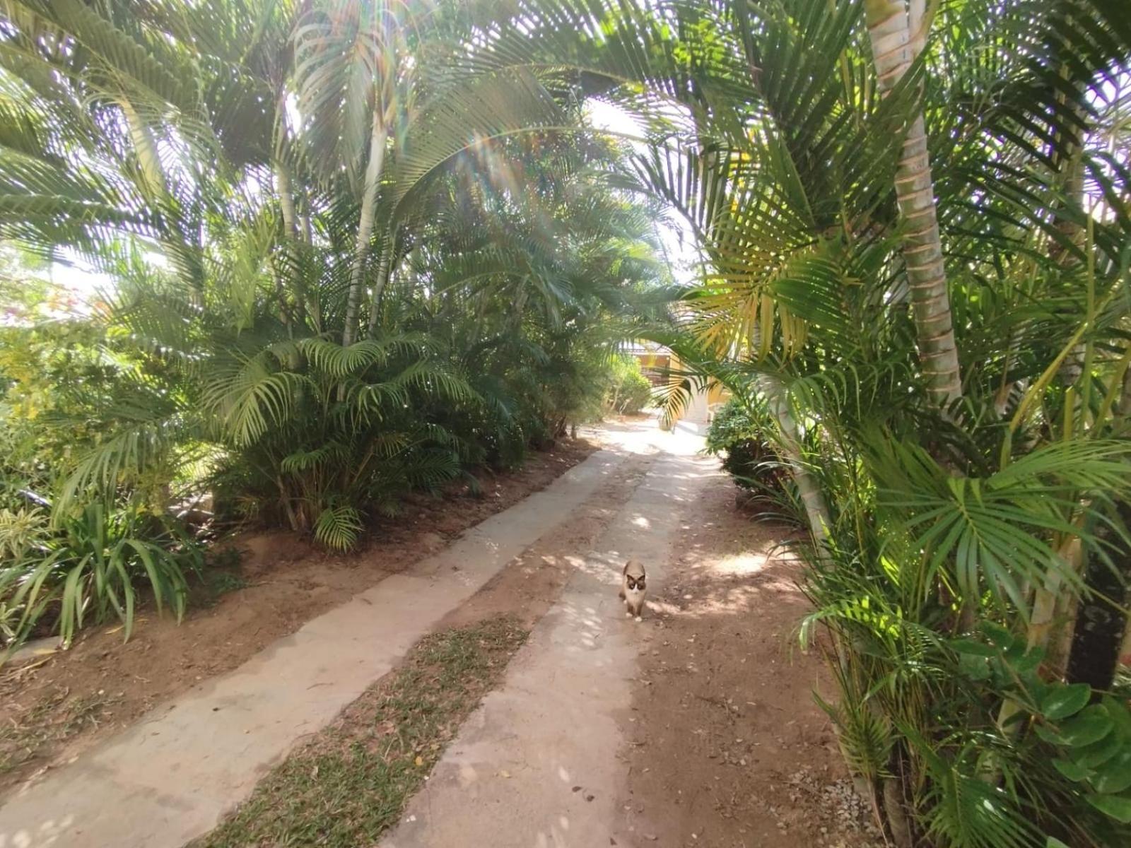 Lumiar Garden Suites E Chales Em Vilas Do Atlantico Lauro de Freitas Exterior foto